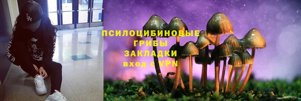 марки lsd Алексеевка