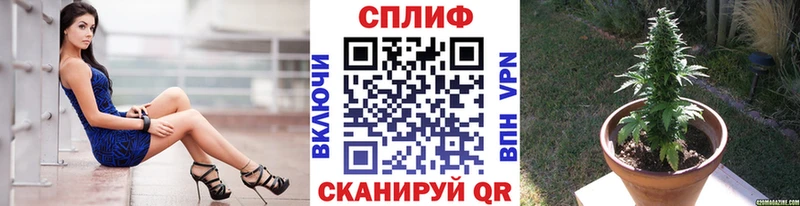 Канабис гибрид  закладка  мега маркетплейс  Бердск 